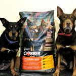 Beloka Tom and Jet on Cobber Dog Food Tom and Jet Cobber