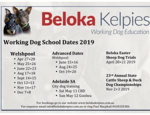 Dog School Dates 2019 Dog School Dates 2019 I