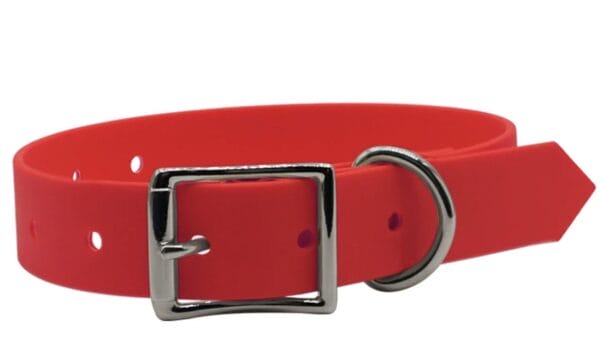Bright Red Collar