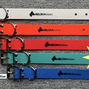 1x Working Dog Collar NEW RANGE