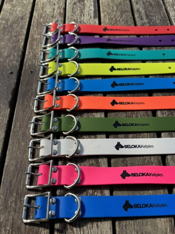 Collars LOGO range I - Beloka Kelpie Stud and Working Dog Training