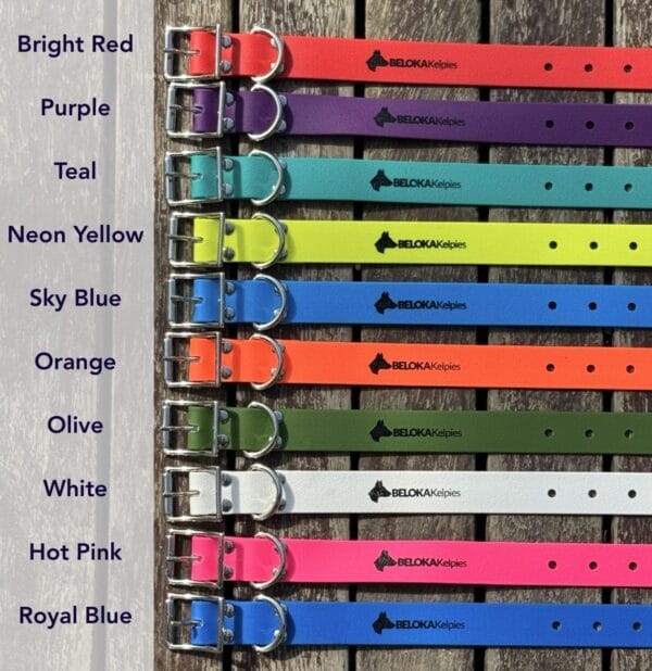 3x Working Dog Collars NEW RANGE - Beloka Kelpie Stud and Working Dog ...