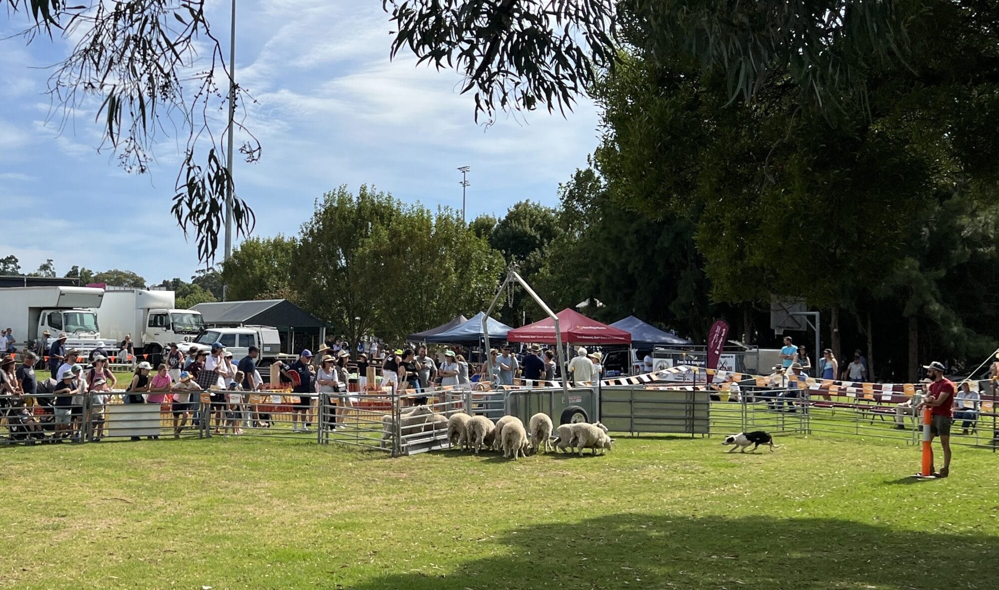 Foster Trial 2024 PHOTO