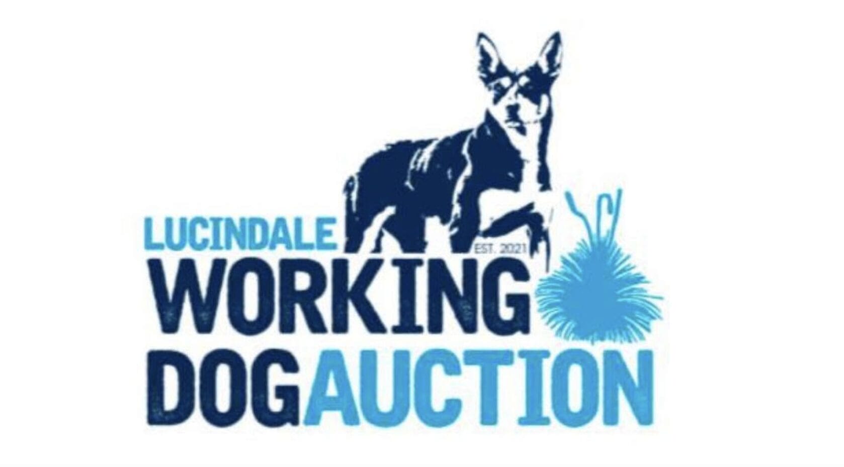 Lucindale Logo